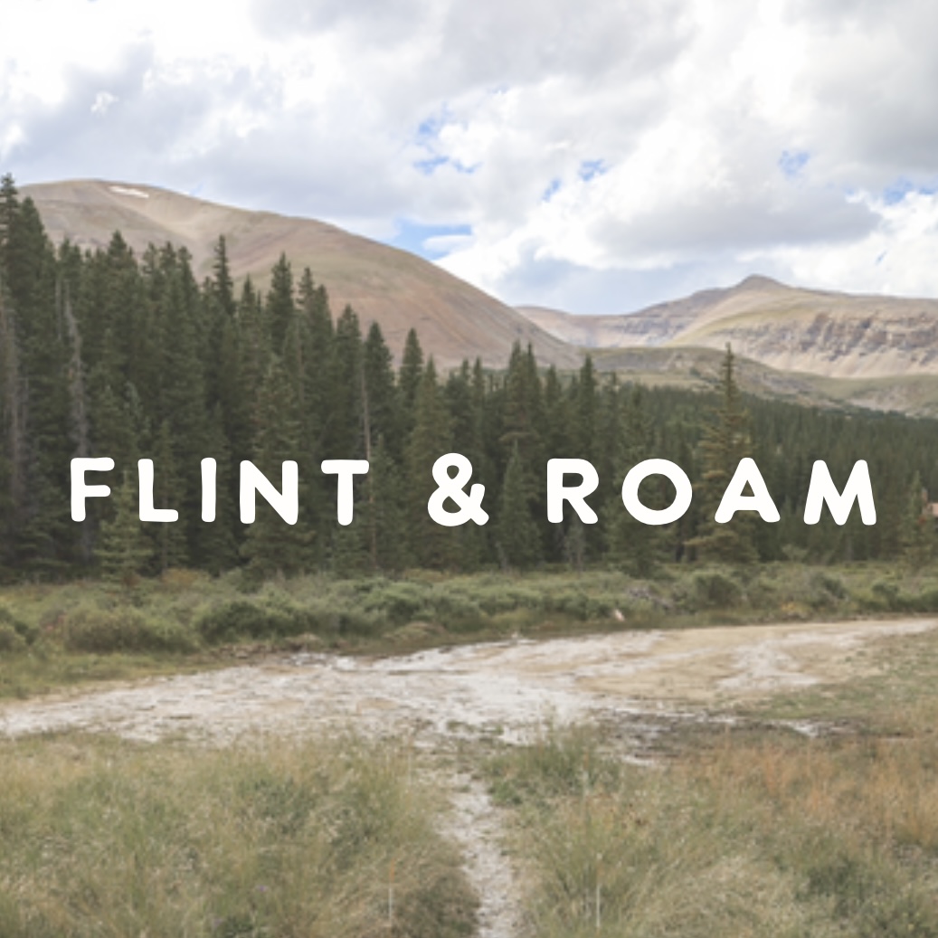 Property Manager Flint & Roam in Fairplay CO